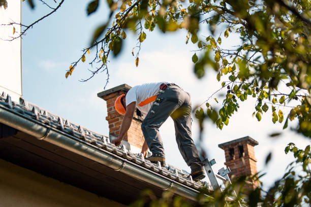 Roof Waterproofing Services in Stedman, NC